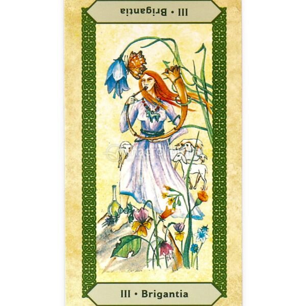 I tarocchi celtici: uno strumento per esplorare le vite passate?