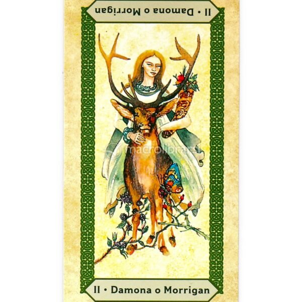 Scopri i segreti delle carte dei tarocchi celtici e sviluppa le tue abilità intuitive